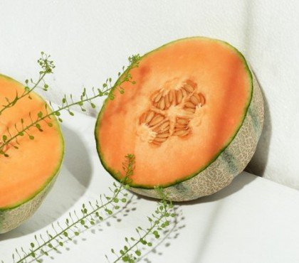 que faire avec la peau de melon recette