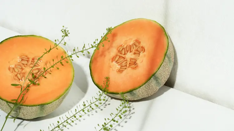 Was tun mit dem Rezept für Melonenschalen?