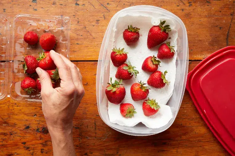 que faire quand on a beaucoup de fraises recettes astuces pour les conserver longtemps comment congeler les fraises