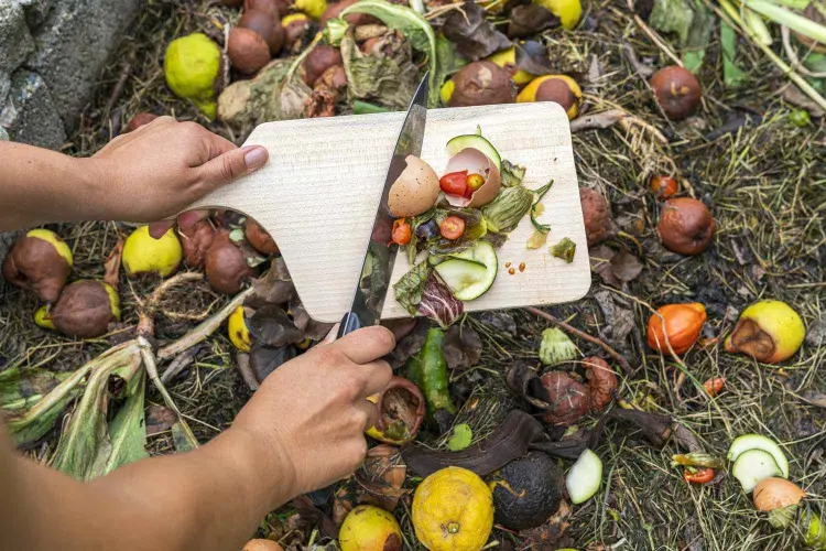 que mettre dans le compost obligatoire fruits légumes déchets