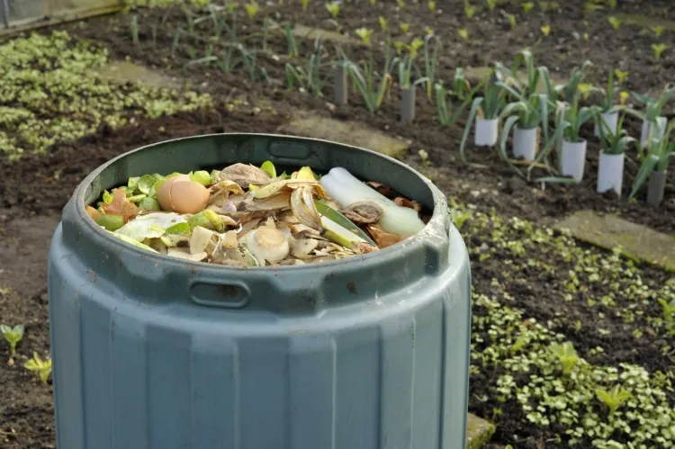 quel fruit ne pas mettre dans le compost pourquoi composter diminuer empreinte carbone