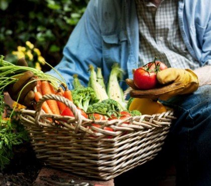 quel légume planter en juillet au potager 2023 semer