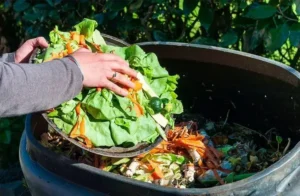 quels légumes ne pas mettre au compost et pourquoi compostage obligatoire en france dès 2024