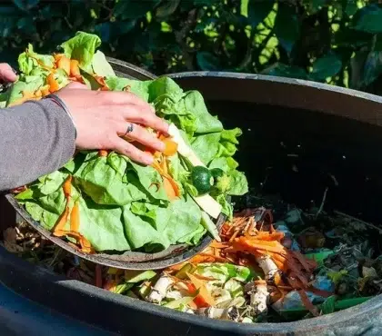 quels légumes ne pas mettre au compost et pourquoi compostage obligatoire en france dès 2024