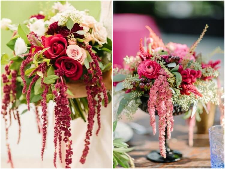 qu'est ce qu'un bouquet champêtre amarante symbolise amour foi immortalité indéfectibles