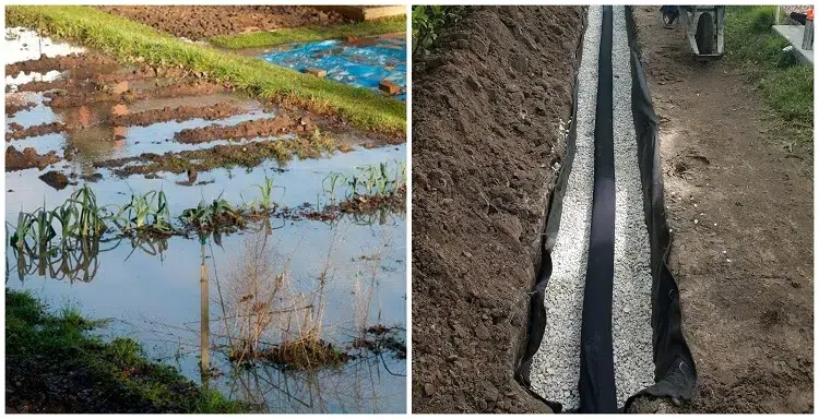 techniques pour éliminer l'eau stagnante du jardin terrasse terrain inondé drainage sol pompe puits secs fossés canaux sillons potager