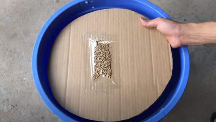 tutoriel fabriquer piège rat souris fait maison plus efficace facile réaliser