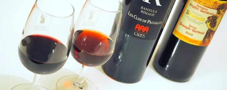 vin pour le vin de noix 2023