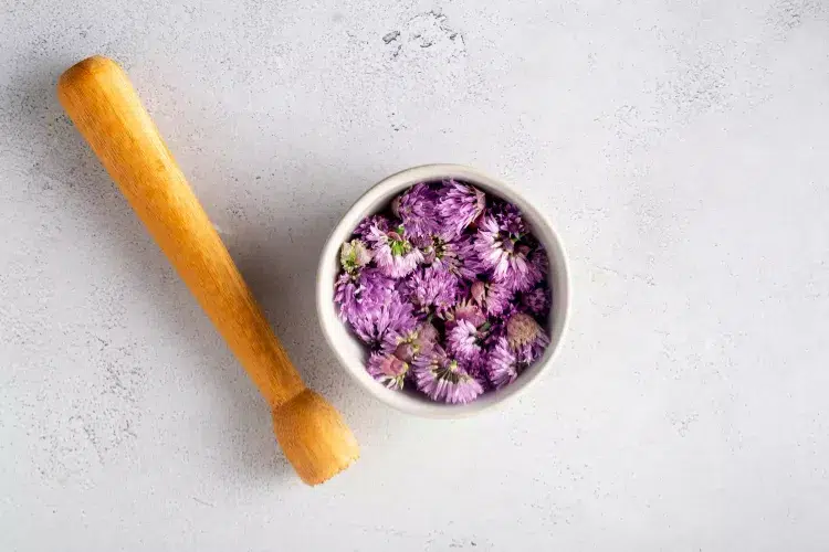 vinaigre de fleurs de ciboulette recette facile étape par étape