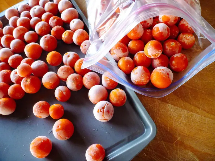comment conserver tomates cerises au congélateur plusieurs mois durable bocaux sechées confites