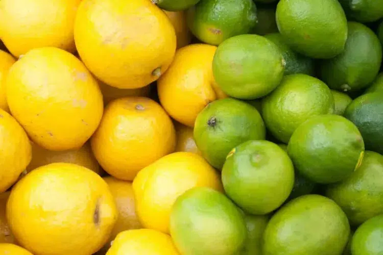 comment savoir si mon citronnier fait des citrons verts ou jaunes