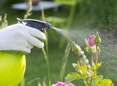 comment utiliser le vinaigre blanc au jardin