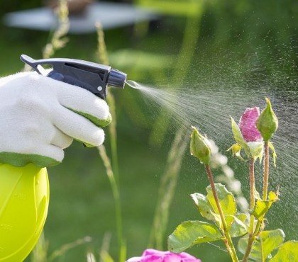 comment utiliser le vinaigre blanc au jardin