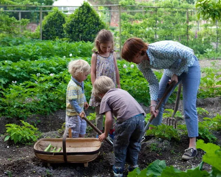informer l'enfant sur le jardin par des jeux jardinage avec des enfants en juillet methodes petit jardinier légumes carottes bébé