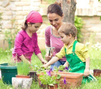 jardinage avec des enfants en juillet methodes petit jardinier jeux planter legumes carottes radis arrosage