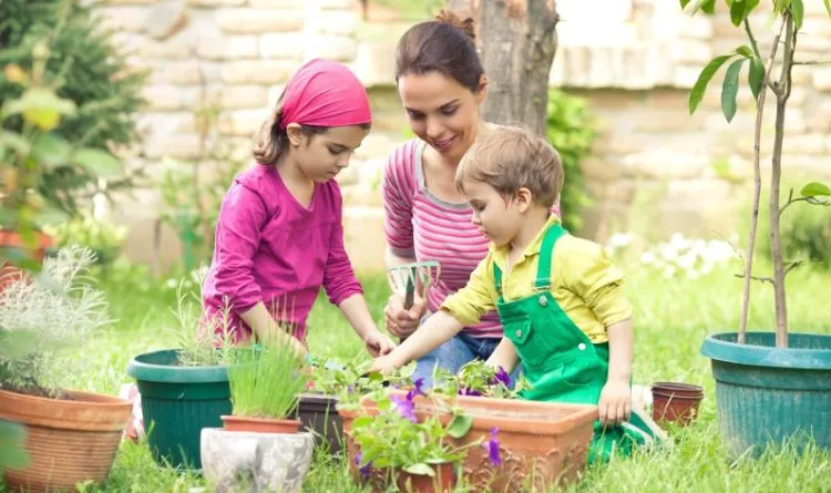 jardinage avec des enfants en juillet methodes petit jardinier jeux planter legumes carottes radis arrosage