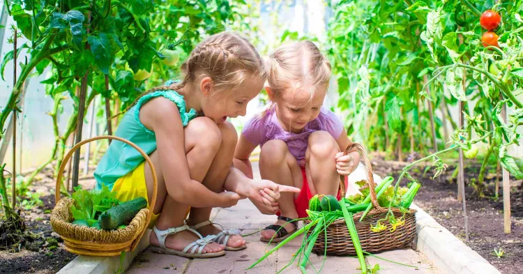 le jardinage avec des enfants en juillet jeux et tâches petit jardinier planter legumes carottes radis conseils arrosage