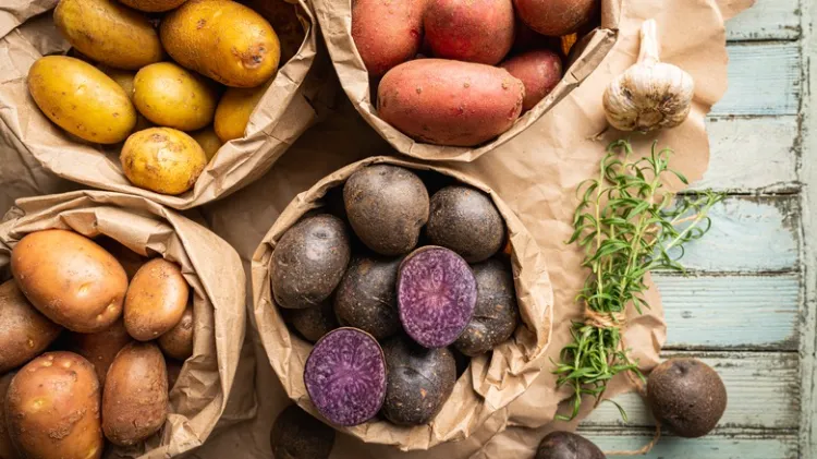 les pommes de terre aliments à ne pas mettre au frigo 15 produits fruits legumes conservation conseils lumière