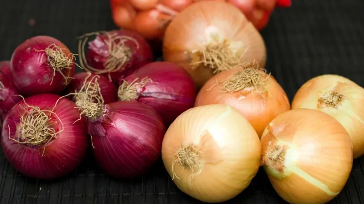l'oignon pommes de terre aliments à ne pas mettre au frigo 15 produits fruits legumes conservation conseils lumière