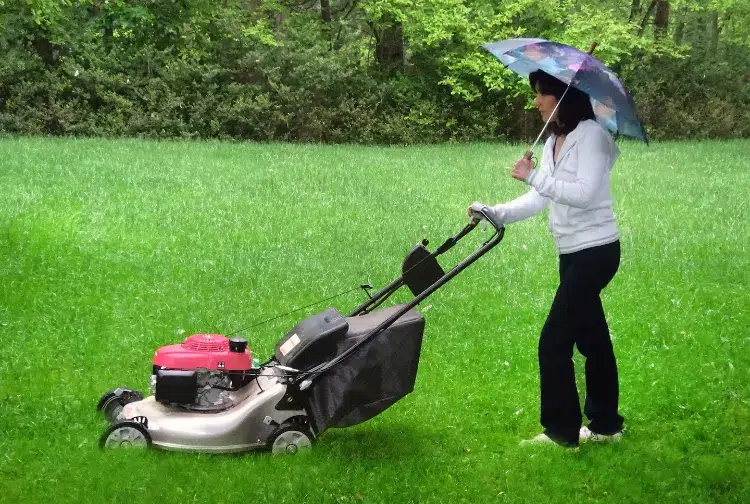 pourquoi il ne faut pas tondre quand il pleut tondre la pelouse quand il pleut oui ou non humide avant apres gazon conseils