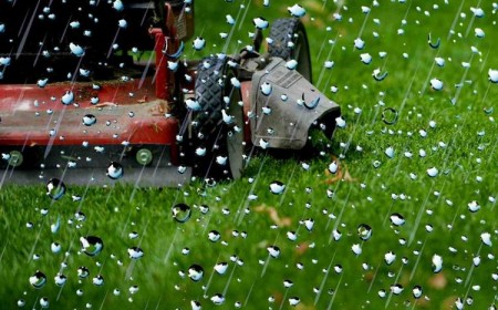 tondre la pelouse quand il pleut oui ou non humide avant apres gazon conseils jardinage