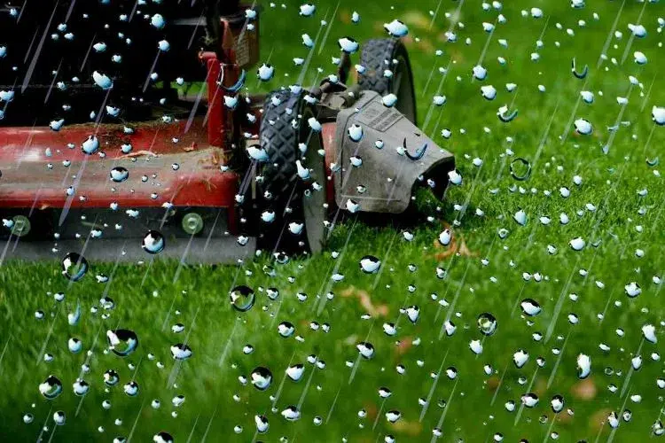 tondre la pelouse quand il pleut oui ou non humide avant apres gazon conseils jardinage