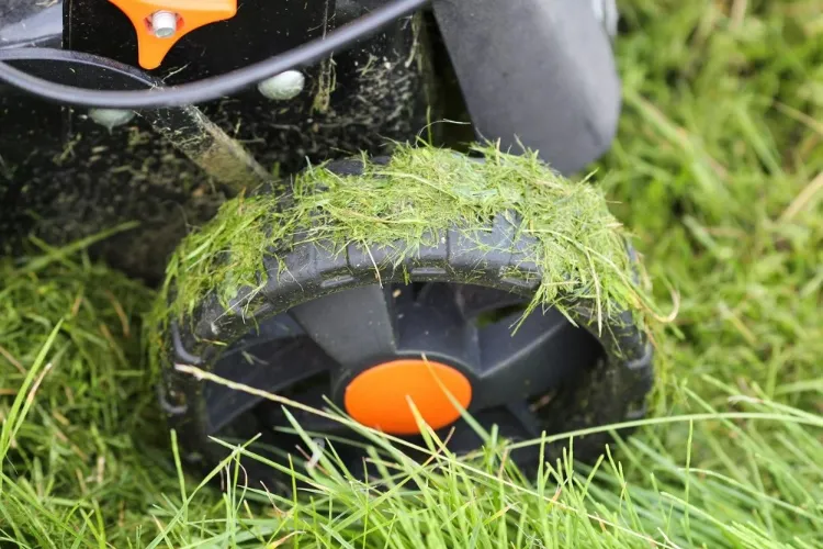 tondre la pelouse quand il pleut oui ou non humide mouilée avant après gazon conseils jardinage alternatives