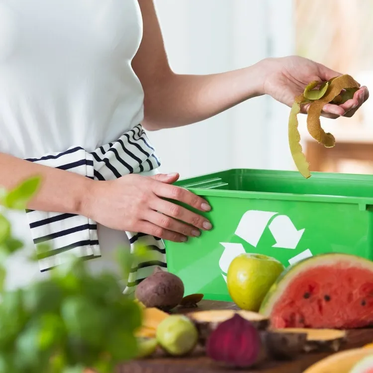 ajouter des fruits pourris dans le compost pratique utile nécessaire faire compostage trier