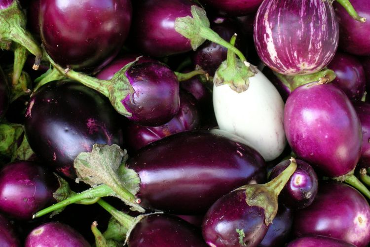 comment enlever l'amertume des aubergines