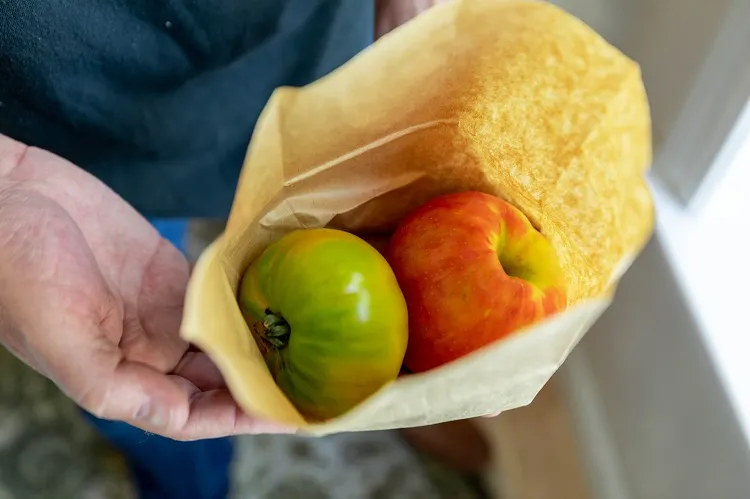 comment faire mûrir des tomates vertes intérieur avec une pomme papier kraft journal