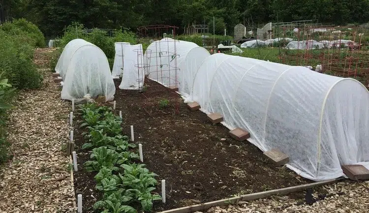 comment protéger le jardin de la pluie installer une bâche sur les plantes