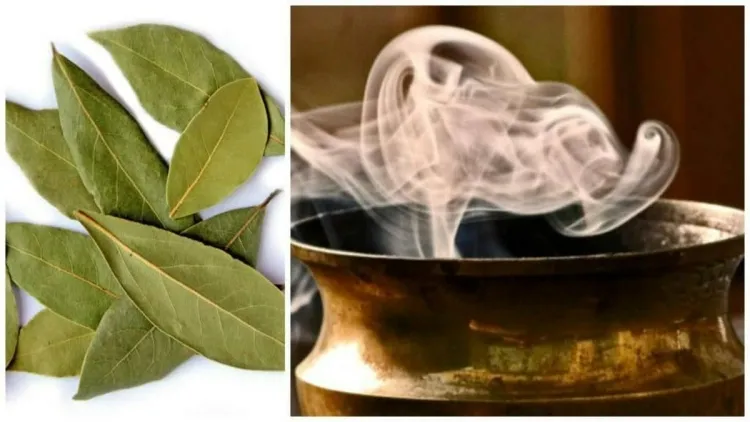 comment purifier la maison avec des feuilles de laurier bienfaits physiques spirituelles