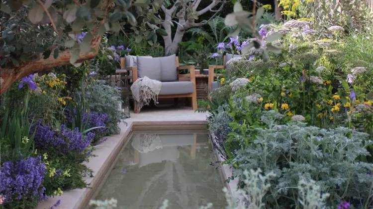 étang de jardin pièce d'eau déco extérieur idée aménagement