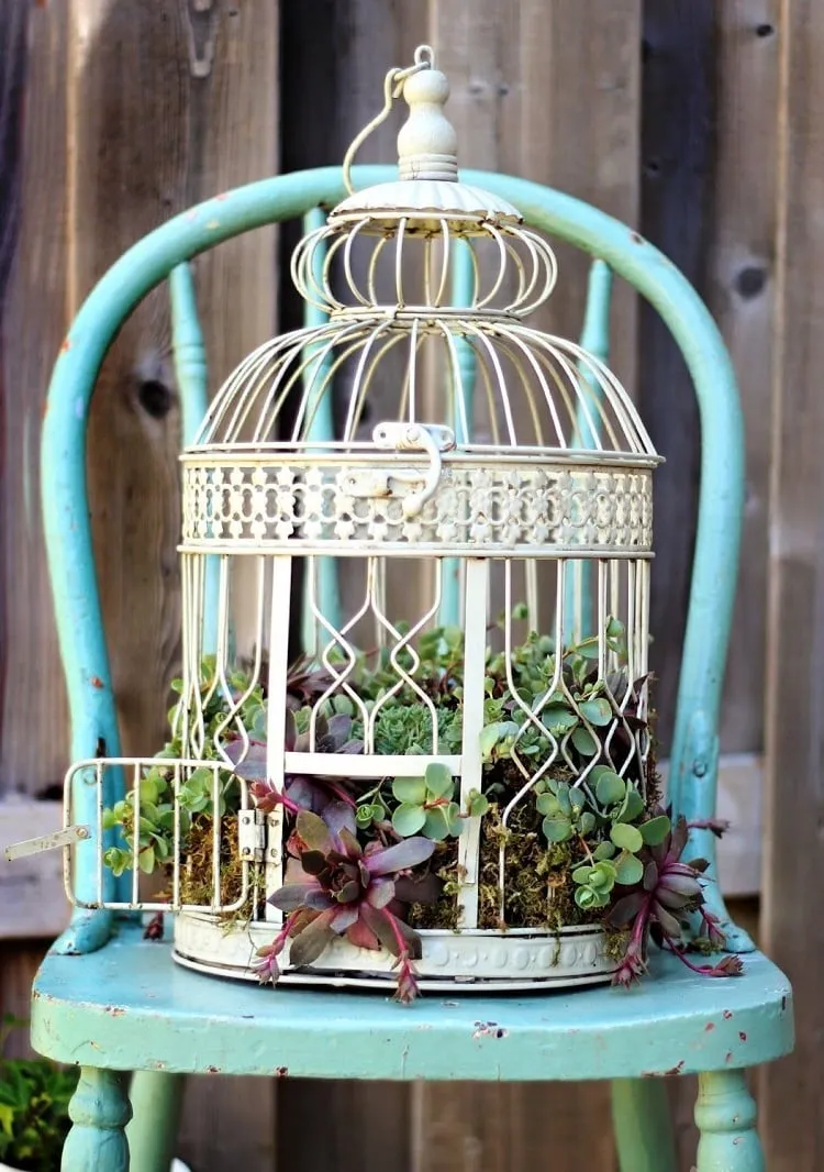 jardinière en objet récyclé cage oiseaux détournée en pot fleurs plantes succulentes déco vintage jardin