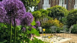 quelles plantes résistantes canicule chaleur sécheresse planter cet été 2023 pour aménager jardin plein soleil sans arrosage
