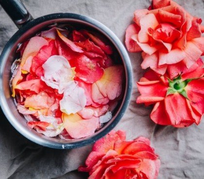 quelles sont les roses comestibles préparer infusion eau rose utiliser boissons vinaigrette