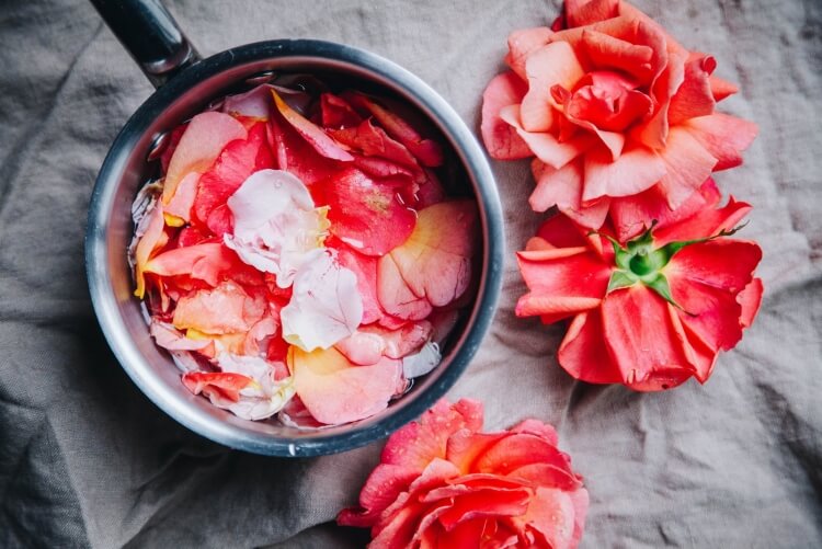 quelles sont les roses comestibles préparer infusion eau rose utiliser boissons vinaigrette