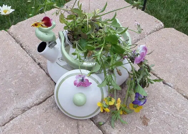 théière en porcelaine végétalisée jardinière diy en matériaux récup recyclés déco aménagement jardin
