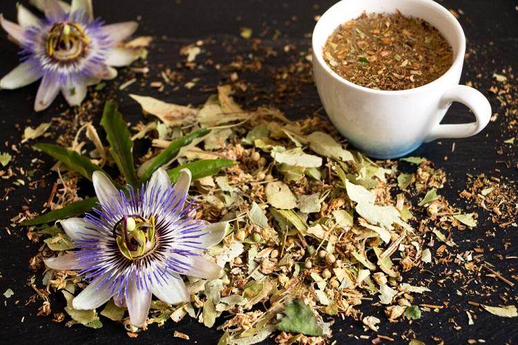 tisane de passiflore quels bienfaits vertus dangers posologie recette