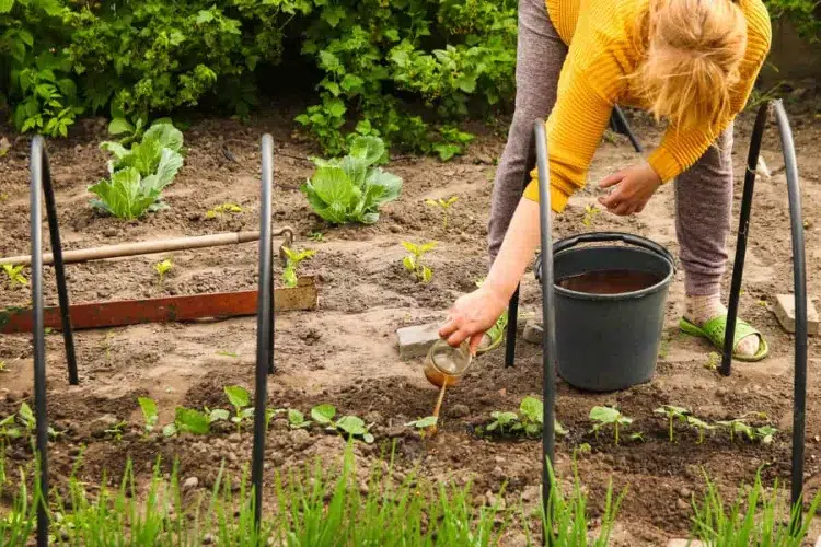 appliquer le compost liquide comment faire du compost liquidе outil the sol terre fabrication innovation potager bois