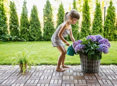 cute little girl 4 5 years old watering hydrangea flowers from a watering can in the garden.