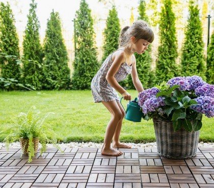 cute little girl 4 5 years old watering hydrangea flowers from a watering can in the garden.