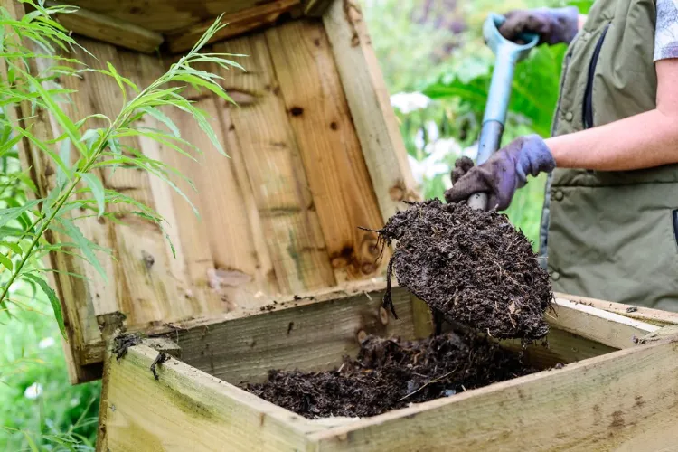 assurer un bon équilibre entre les différents éléments techniques à appliquer pour un compostage réussi pousse dans le compost naturel maison jardin