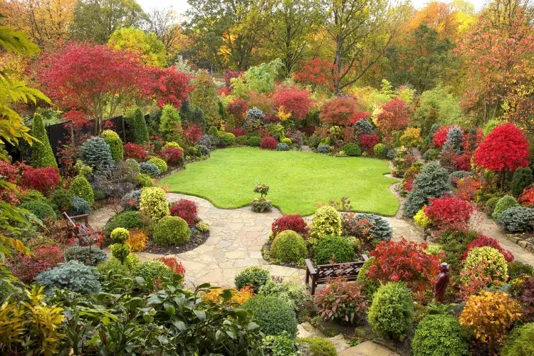 comment avoir un jardin coloré en automne idées romantique colore plantes aromatiques tailler après été arrosage