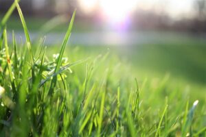 comment decompacter une pelouse gazon niveler sol aerateur jardin