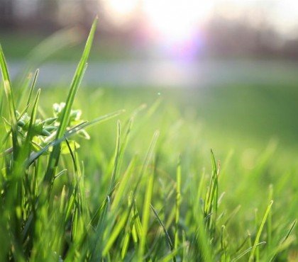 comment decompacter une pelouse gazon niveler sol aerateur jardin