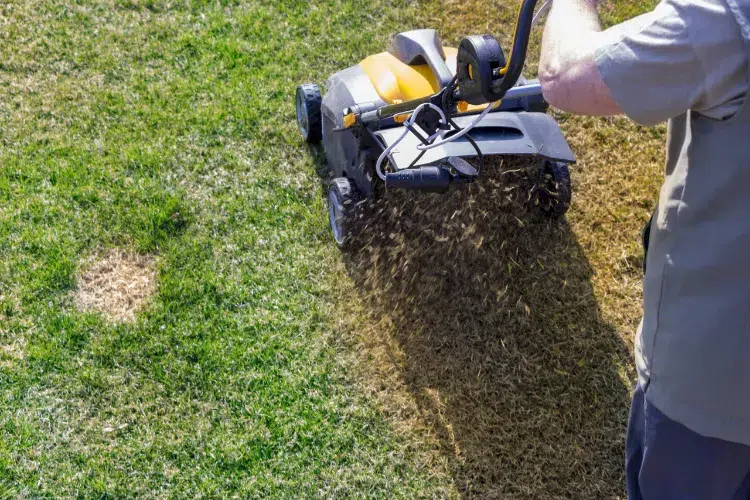 comment decompacter une pelouse gazon niveler sol aerateur jardin methodes astuces