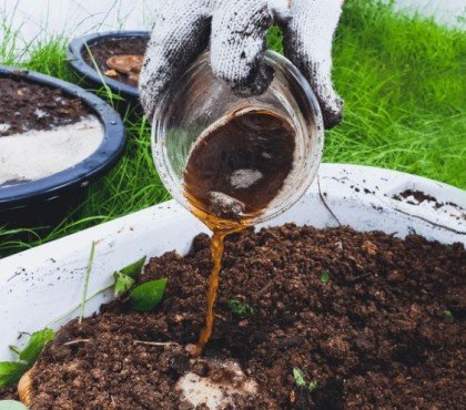 comment faire du compost liquidе outil the sol terre fabrication innovation potager bois