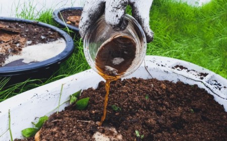comment faire du compost liquidе outil the sol terre fabrication innovation potager bois