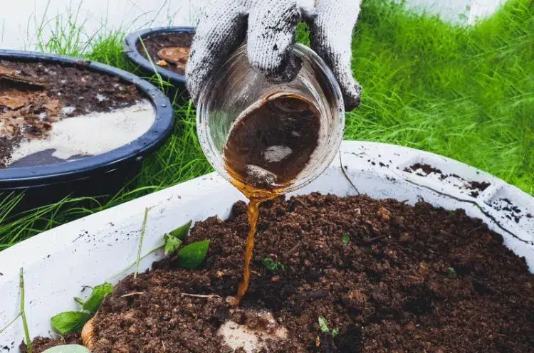 comment faire du compost liquidе outil the sol terre fabrication innovation potager bois